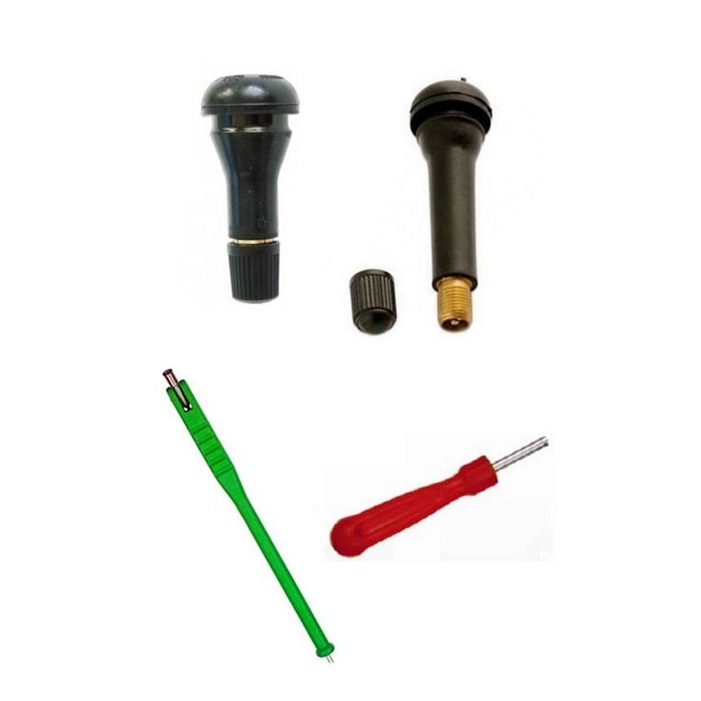 Kit 100 Valves TR413 et TR414 + Tire Valve + Démonte Obus